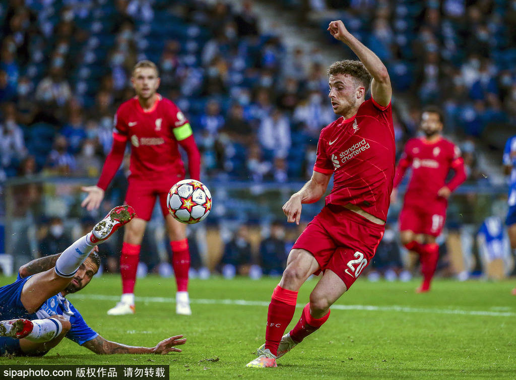 我们看到的 我们看到的